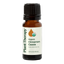 Organic Cinnamon Cassia Essential Oil