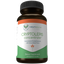 Cryptolepis Concentrate